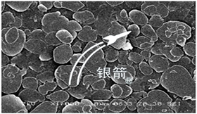 銀元狀鋁顏料.jpg 銀元狀鋁顏料.jpg